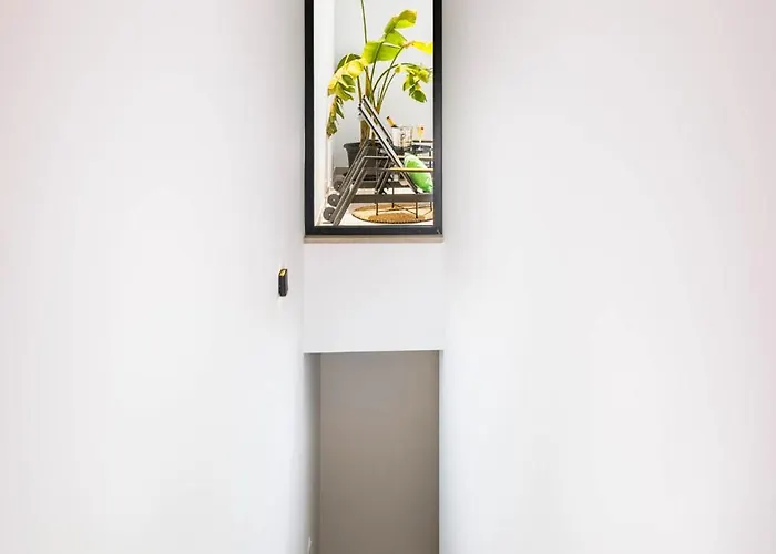 Roots Faro